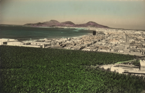 FINCAS DE CHILE Y BARRIADA DE GUANARTEME