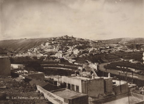 PANORÁMICA DE SAN ROQUE Y FINCAS DEL GUINIGUADA