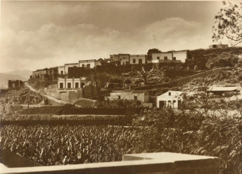 RISCO DE SAN NICOLÁS Y FINCAS