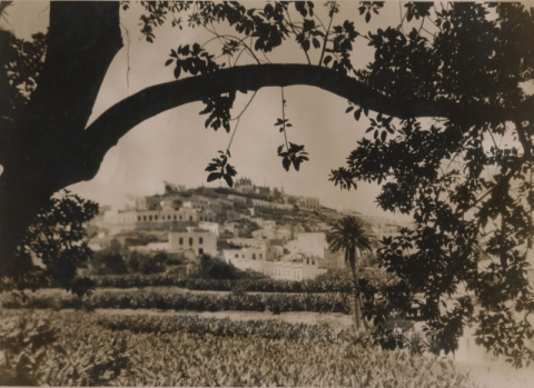 RISCO DE SAN ROQUE Y FINCAS