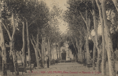 ALAMEDA DE COLÓN