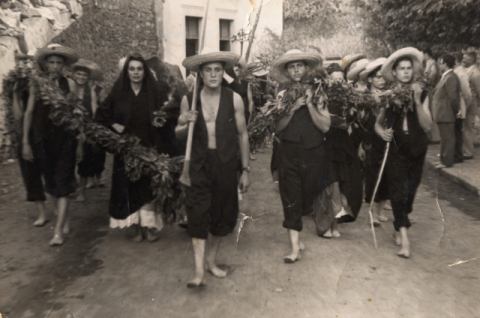 PEREGRINOS DE TAMARACEITE
