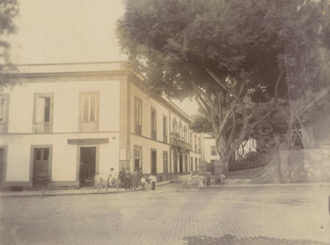 LA ALAMEDA  DE COLÓN Y HOTEL CAIRASCO