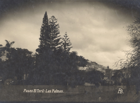 BARRANCO GUINIGUADA Y EL TORIL (CALLE JUAN DE QUESADA)