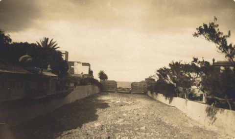 BARRANCO GUINIGUADA Y PUENTE DE PALO