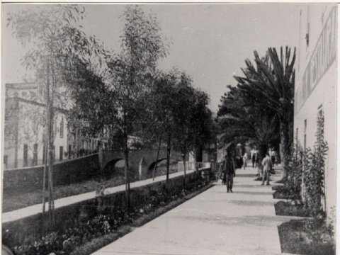 BARRANCO GUINIGUADA, PUENTE DE PIEDRA Y CALLE LENTINI