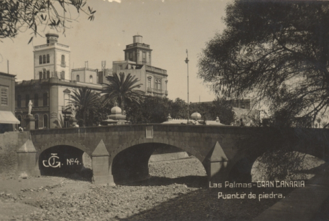 PUENTE DE PIEDRA Y GUINIGUADA