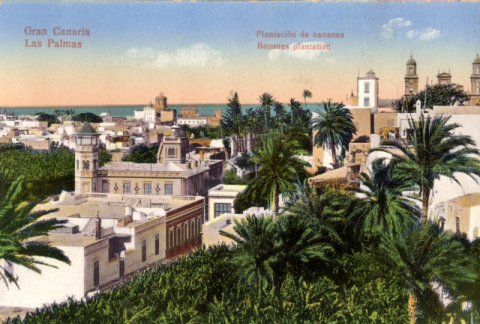 CASAS DEL TORIL