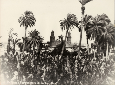 CATEDRAL Y PAMPASO