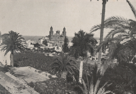 FINCAS DEL PAMBASO Y CATEDRAL