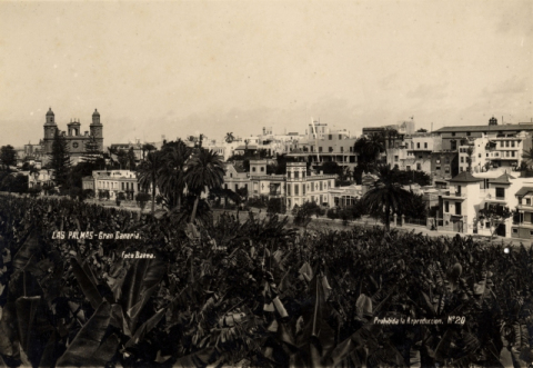 FINCAS DEL PAMBASO, EL TORIL Y LA CATEDRAL