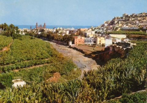 FINCAS DEL PAMBASO, PANORÁMICA DE VEGUETA