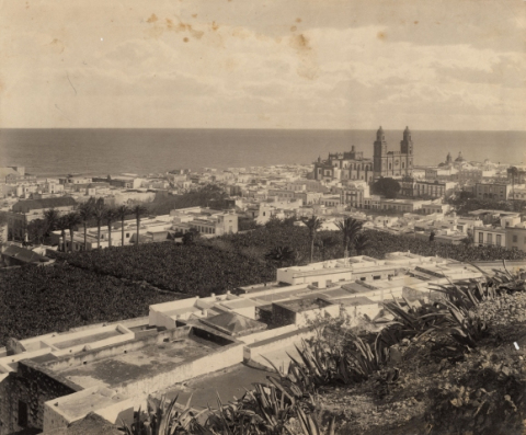 FINCAS UNIDAS Y CATEDRAL DE SANTA ANA