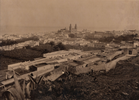 FINCAS UNIDAS Y CATEDRAL DE SANTA ANA