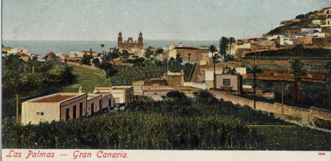 IGLESIA DE SAN ROQUE Y CATEDRAL DE SANTA ANA