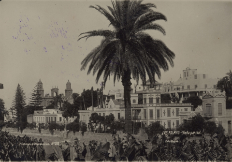 LA CATEDRAL Y EL TORIL