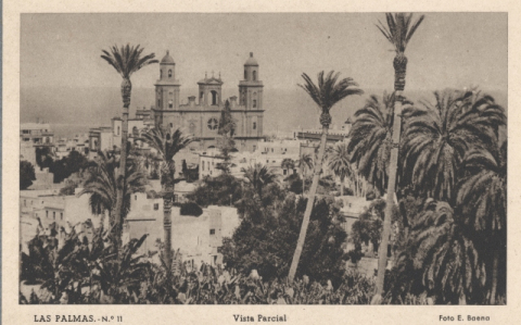 PALMERAL Y CATEDRAL