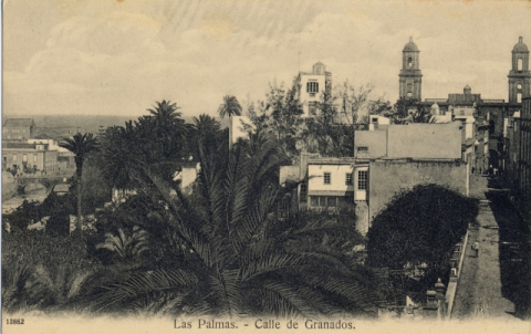 PANORÁMICA DE GUINIGUADA, TORIL, CATEDRAL Y CALLE CASTILLO
