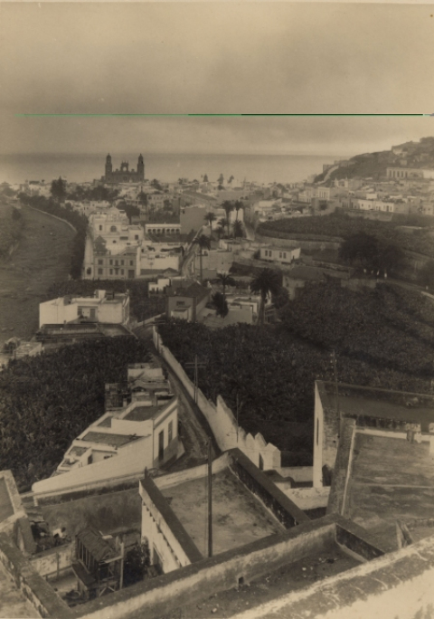 PANORÁMICA DE VEGUETA Y GUINIGUADA DESDE SAN ROQUE