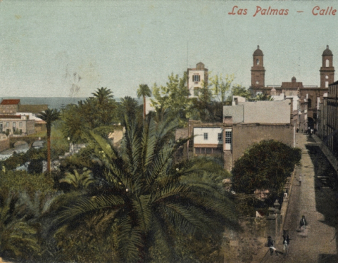 PANORÁMICA GUINIGUADA, TORIL, CATEDRAL Y CALLE CASTILLO