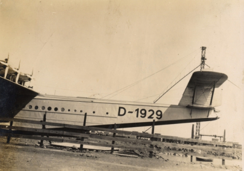 COLA DEL DORNIER