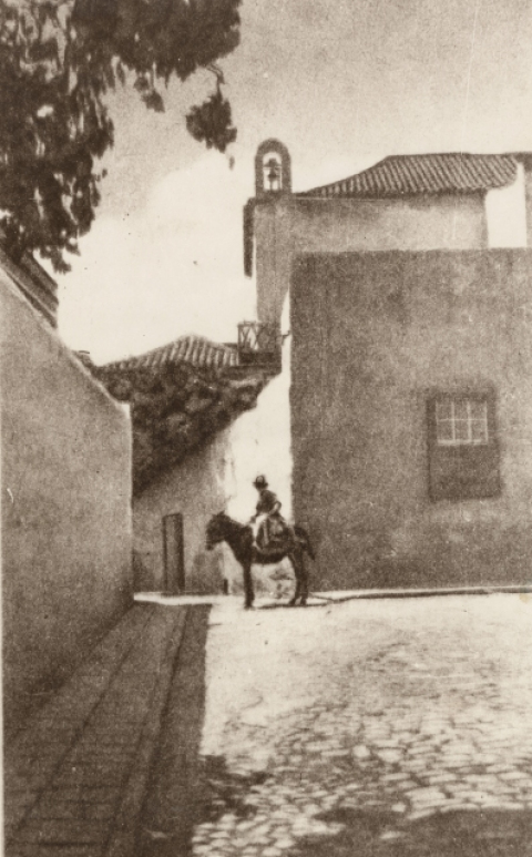 PUERTA DEL BURRERO EN LA PLAZA DE SANTO DOMINGO