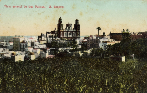 VEGUETA, CATEDRAL DESDE LA FINCA DEL PAMBASO