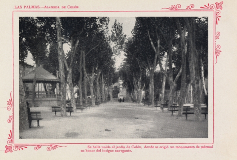 ALAMEDA DE COLÓN