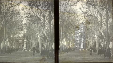 ALAMEDA DE COLÓN
