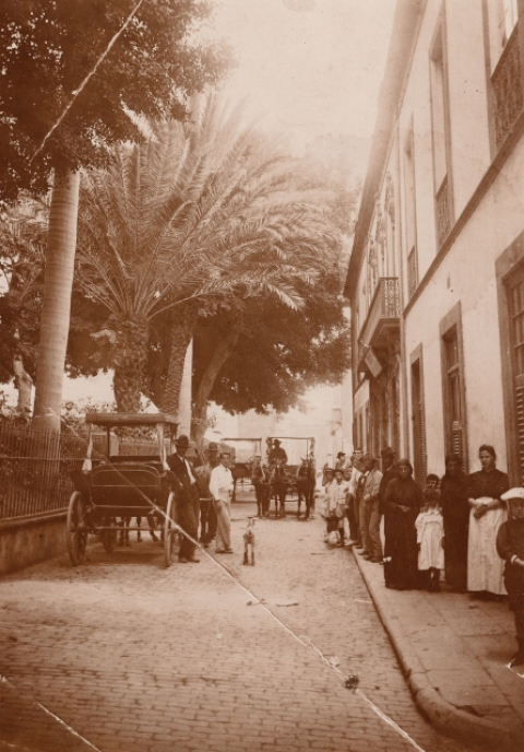 LATERAL DE LA ALAMEDA
