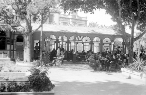 PLAZA DE LAS RANAS