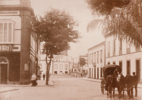 CALLE MURO