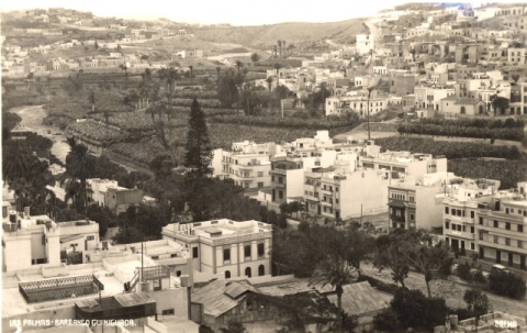 PLATANERAS DEL GUINIGUADA