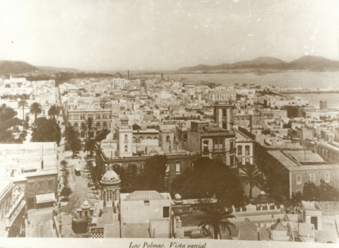 VISTA DE LAS PALMAS