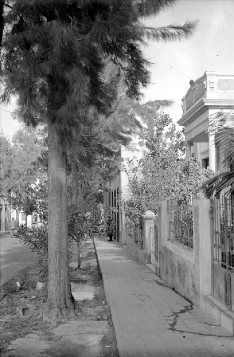 CASAS DE VEGUETA EN LOS ALREDEDORES DEL RECTORADO