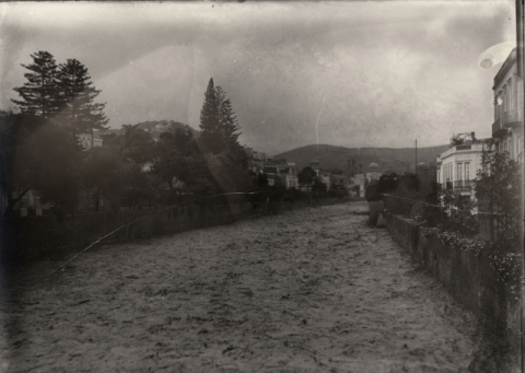 EL GUINIGUADA CORRIENDO