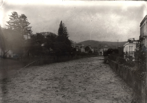 EL GUINIGUADA CORRIENDO