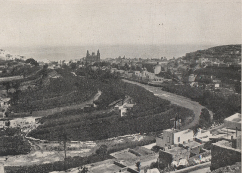 EL GUINIGUADA