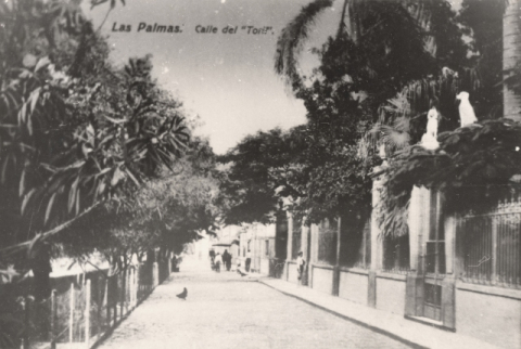 EL TORIL