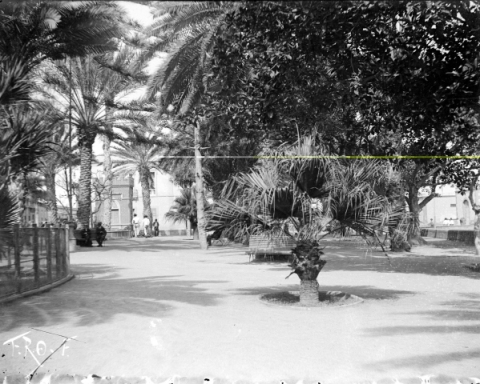 PARQUE DE SAN TELMO