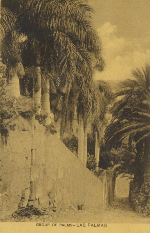 RISCO SAN NICOLÁS, CALLEJÓN HACIA EL GUINIGUADA