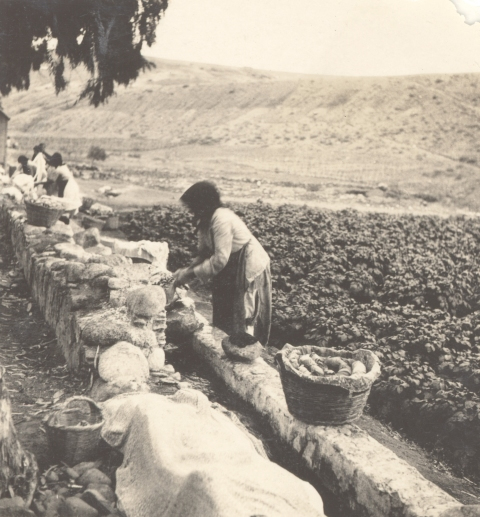ENTRE LA ACEQUIA Y LAS PAPAS