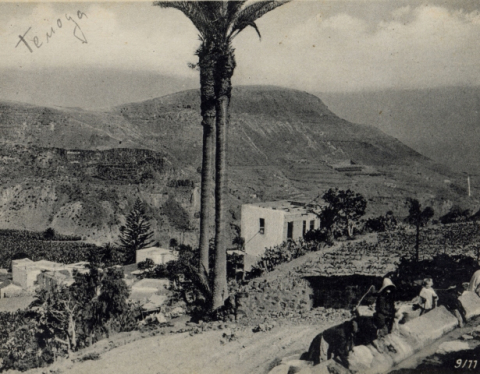 LA ACEQUIA DE TENOYA