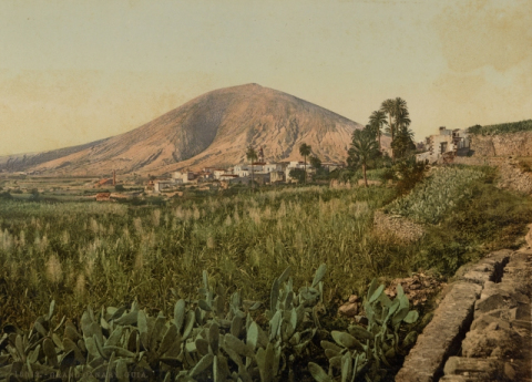 LA ACEQUIA Y LAS TUNERAS