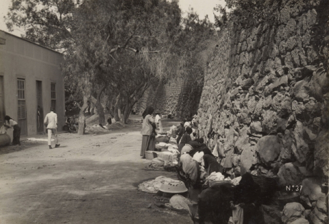 LAVANDERAS EN LA ACEQUIA DEL "ÁRBOL BONITO"