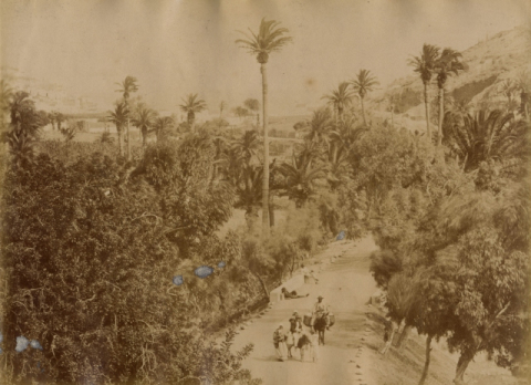 BARRANCO SECO