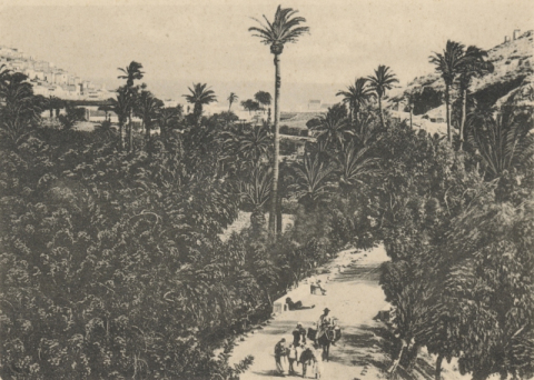 BARRANCO SECO, CARRETERA DEL CENTRO