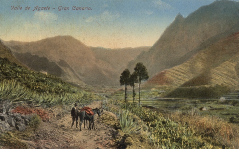 CAMINO DEL VALLE DE AGAETE