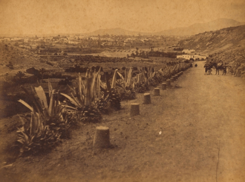 CARRETERA A TELDE