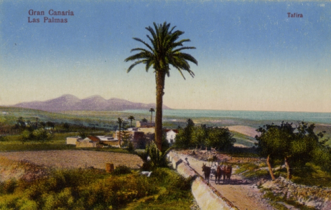 CARRETERA DE LAS PALMAS
